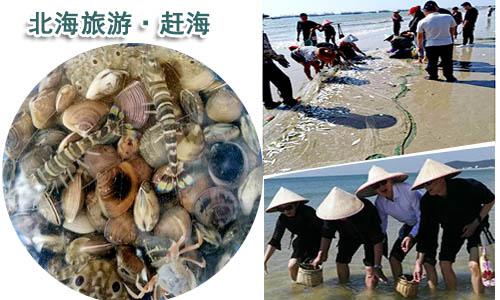 南京到北海旅游團價格_路線