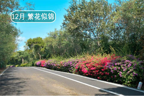 北海潿洲島旅游攻略