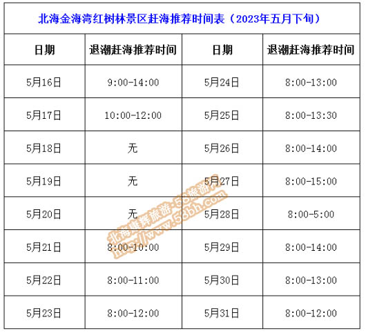 北海紅樹林5月下旬趕海時刻表