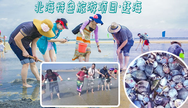 北海市,內,游,要,多少錢,